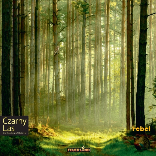 Okładka gry: Czarny las