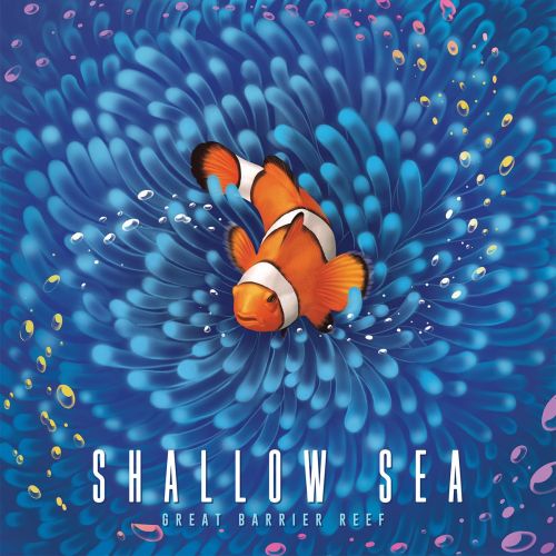 Okładka gry: Shallow Sea: Wielka Rafa Koralowa